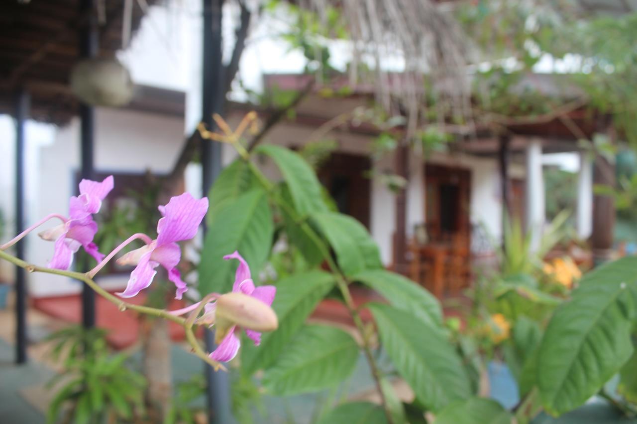 Julie Guest House Tangalle Zewnętrze zdjęcie