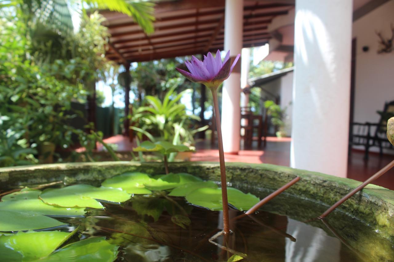 Julie Guest House Tangalle Zewnętrze zdjęcie
