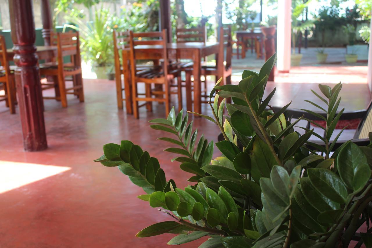 Julie Guest House Tangalle Zewnętrze zdjęcie