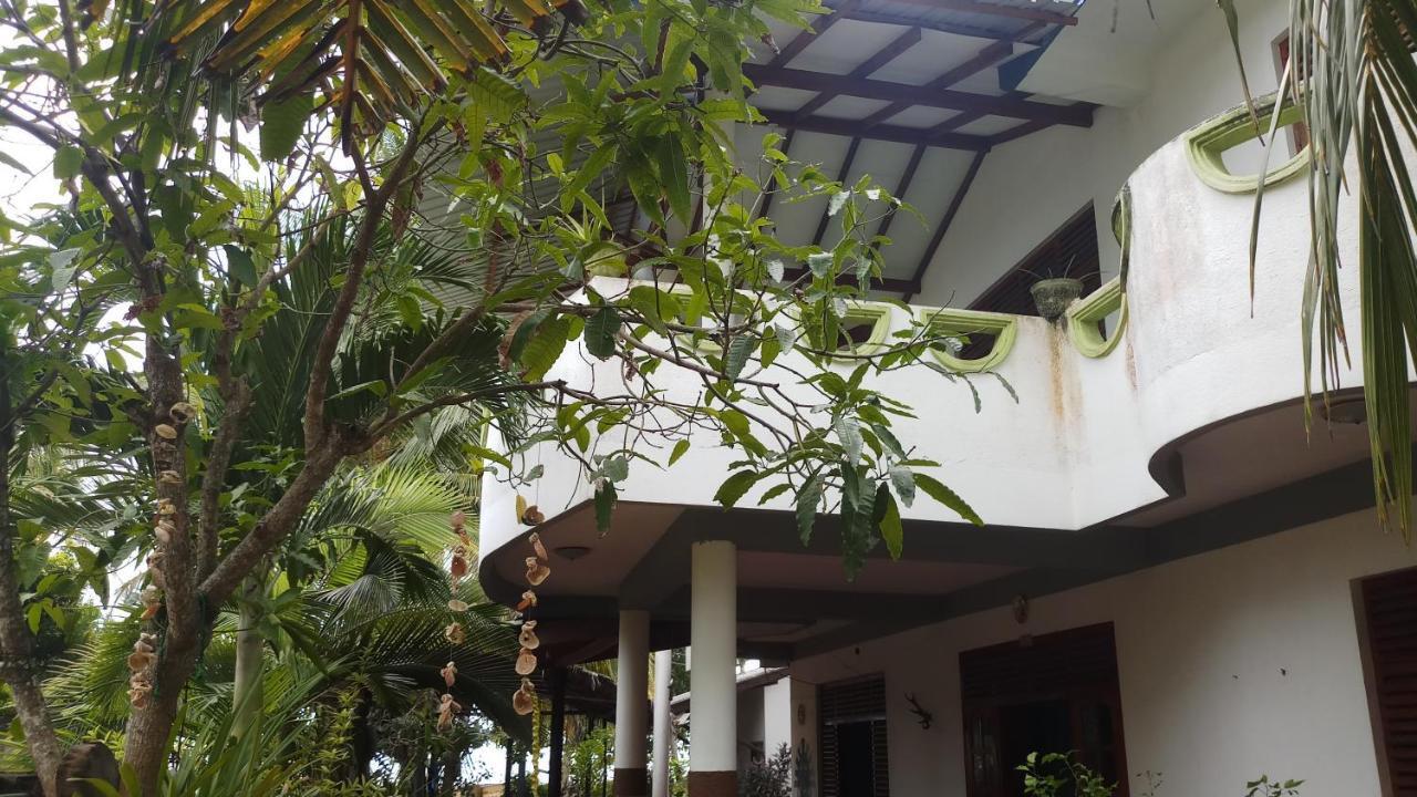 Julie Guest House Tangalle Zewnętrze zdjęcie