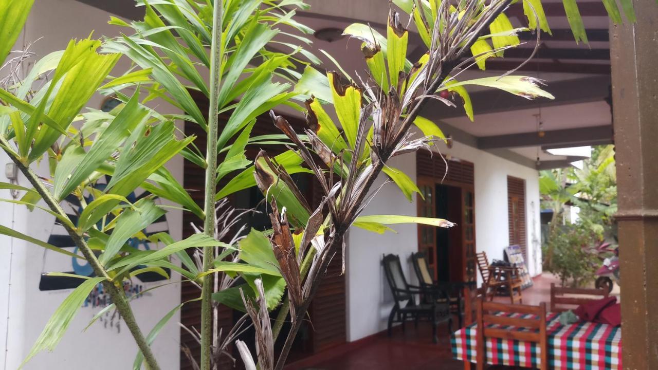 Julie Guest House Tangalle Zewnętrze zdjęcie