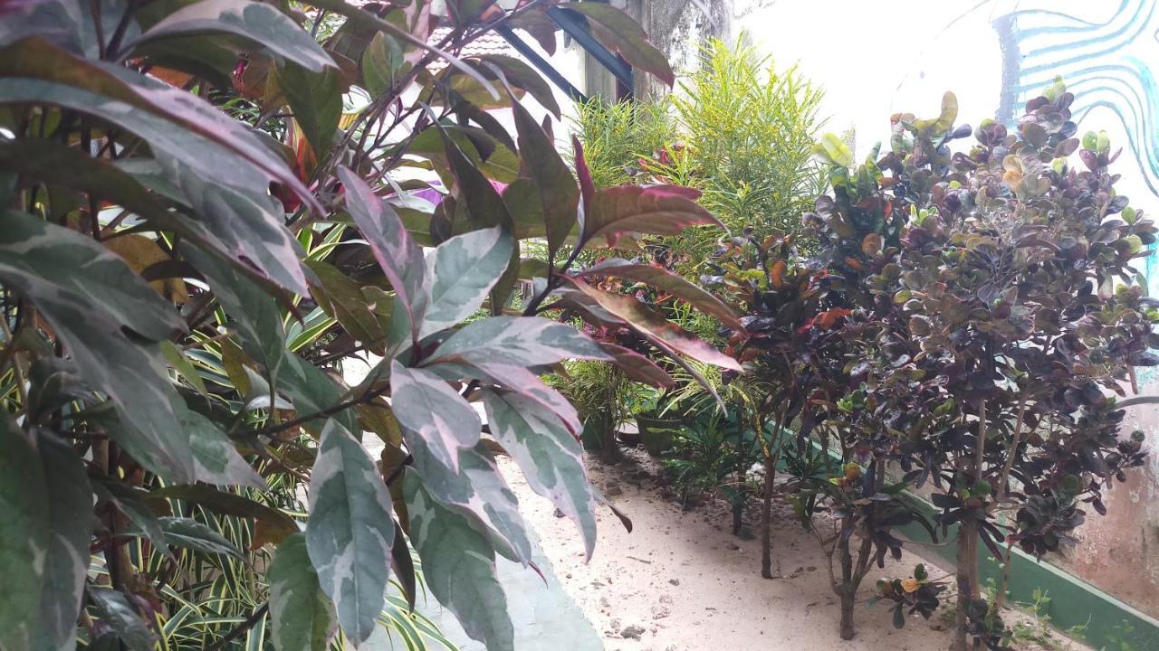 Julie Guest House Tangalle Zewnętrze zdjęcie